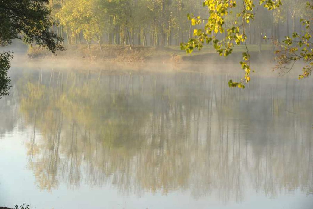 Nom de l'image : D30082689_1_(c)Norbert-JUNG — Description :